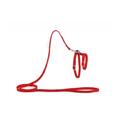 Beeztees Kattentuigje Rood 130cm x 10mm