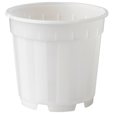 Nature Orchidee Pot Transparant Ø12cm