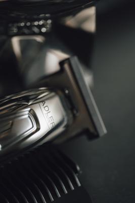 Adler AD 2836S baardtrimmer Batterij/Accu 4 6 mm Zilver