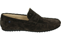 Van Bommel ELBA 01.01 - alle - thumbnail