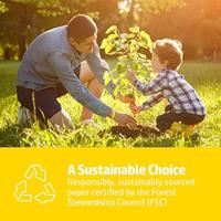 Kopieerpapier HP Everyday A4 75gr wit 500 vel - thumbnail