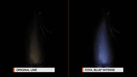 Osram Automotive 64210CBN Halogeenlamp Cool Blue Intense H7 55 W 12 V - thumbnail