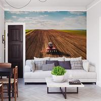 Fotobehang - Landbouw, premium print, inclusief behanglijm - thumbnail