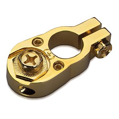 Sinuslive BK 1+ Accupoolklem Pluspool Verguld 1 stuk(s) Sinuslive BK 1+ Accupoolklem Pluspool Verguld 1 stuk(s)