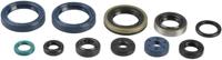 ATHENA motor-keerring set motorshield rm-z 250,04-09/kx-f,04-11 - thumbnail