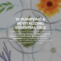 Phyto Solutions Polléine Fortifying Balancing Concentrate 30ml - thumbnail