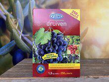 Druivenvoeding Druivenvoeding