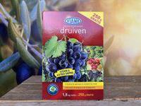 Druivenvoeding - thumbnail