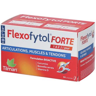 Tilman Flexofytol Forte Tabletten 84Tabletten