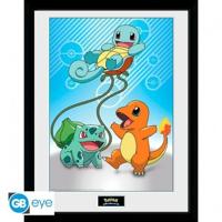 Pokemon Framed Print - Kanto Starters - thumbnail