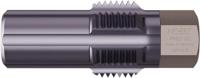 HAZET Draadnasnijder uitlaattemperatuursensoren/-sondes 4683-20 · 13 mm buitenzeskant · Lengte: 50 mm - thumbnail