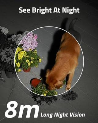 Eufy Solocam S40 Doos IP-beveiligingscamera Binnen & buiten 2048 x 1080 Pixels Muur