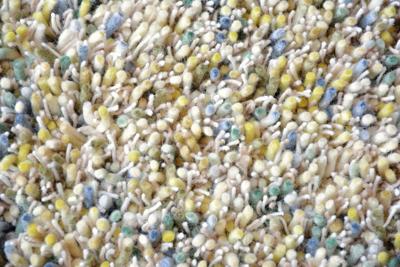 Brink en Campman - Young 61807 - 140x200 cm Vloerkleed Brink en Campman - Young 61807 - 140x200 cm Vloerkleed