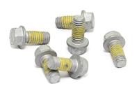 TRW bouten set screw set 6pcs. m6x1 - thumbnail