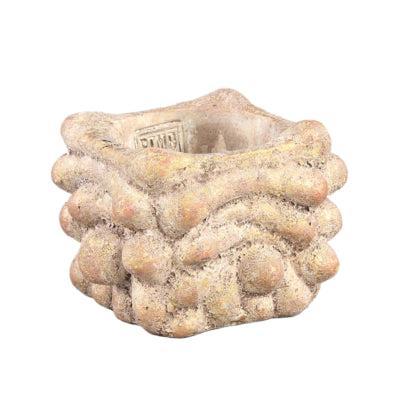 PTMD bloempot drew xs crème 12 cm | 16 stuks