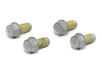 TRW bouten set screw set 4pcs. m6x1 - thumbnail
