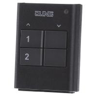 FM HS 2  - Remote control for switching device FM HS 2 - thumbnail