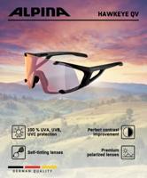 Olympic Sportswear Alpina sports sportbril hawkeye qv mat zwart - thumbnail