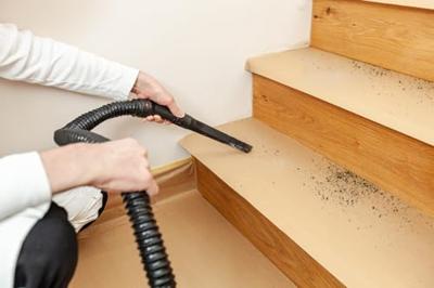 tesa 74922 74922-00002-00 Maskeertape tesa Professional Chamois (l x b) 10 m x 60 cm 10 m