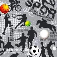 Cadeaupapier - Geschenkpapier - Sports champion 30 cm - thumbnail