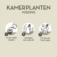 Pokon kamerplantenvoeding 500 ml - thumbnail
