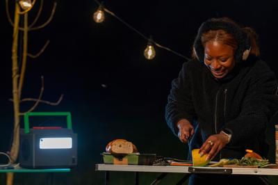 Ononderbreekbaar Stroomvoorzieningssysteem Interactief SAI APC PPS330-GR Zwart Groen 50 W