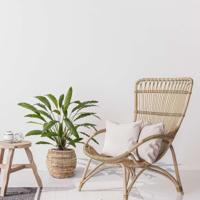 Calathea 75cm Kunstplant groen - thumbnail