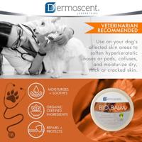 Dermoscent Bio Balm hond 50ml - thumbnail