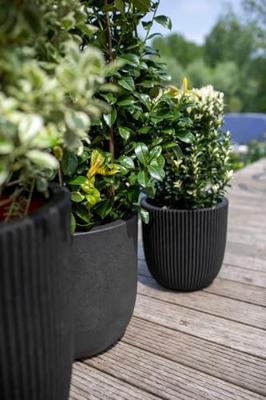 Capi Pot Bol 54x52 cm - Zwart - thumbnail