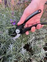 Talentools snoeischaar premium vbs 18 mm - thumbnail