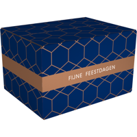 Kerstpakketdoos | Mountain Lodge | golfkarton | 45x35x23cm | Kerstmis | d | 10 stuks - thumbnail