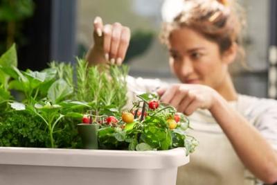 Orto in piedi ELHO Noa - Grigio - L 79 x P 39 x H 94 cm - coltivazione e raccolta - 100% riciclato