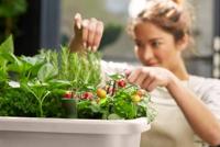 Orto in piedi ELHO Noa - Grigio - L 79 x P 39 x H 94 cm - coltivazione e raccolta - 100% riciclato - thumbnail