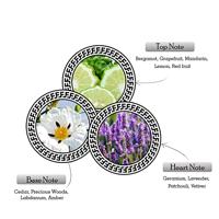 Armaf Ventana Pour Homme Eau de parfum Spray 100ml Heren - thumbnail