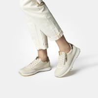 Paul Green 5310 - alle - thumbnail