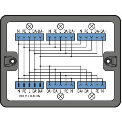 WAGO 899-631/313-000 Verdeeldoos 899 25 A Zwart 1 stuk(s)