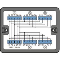 WAGO 899-631/313-000 Verdeeldoos 899 25 A Zwart 1 stuk(s) - thumbnail