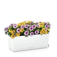 LECHUZA Jardiniere Balconera Kleur 50 ALL-IN-ONE Wit 15670 - thumbnail