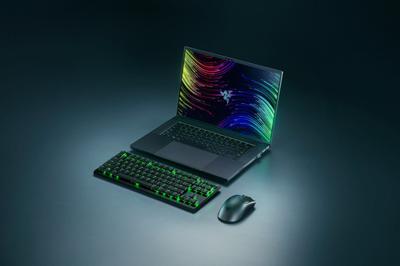 Gaming muis met led Razer RZ01-04910100-R3M1 Zwart 30000 dpi