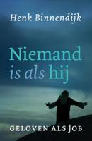 Niemand is als hij - Henk Binnendijk - ebook - thumbnail