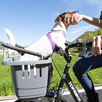 FERPLAST Atlas Fiets 20 Rapid - Fietsmand voor huisdieren - thumbnail