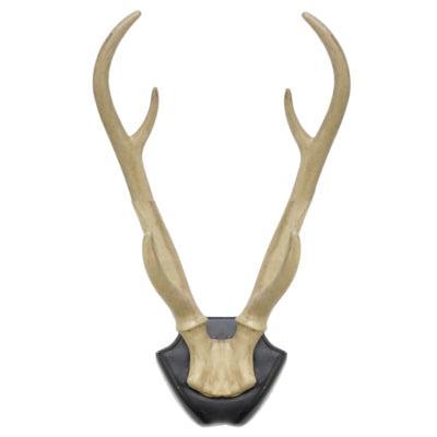 Wanddecoratie hertengewei op bord 34,5 cm | 6 stuks