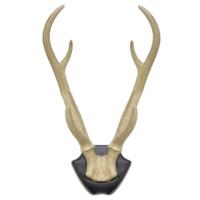 Wanddecoratie hertengewei op bord 34,5 cm | 6 stuks - thumbnail