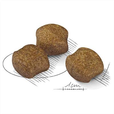 Royal Canin Dental Care Medium hondenvoer 2 x 3 kg