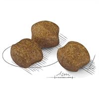 Royal Canin Dental Care Medium hondenvoer 2 x 3 kg - thumbnail