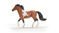 schleich HORSE CLUB mangalarga marchador hengst 13978 - thumbnail