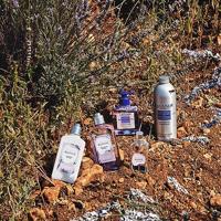 L'Occitane Lavande Blanche Body Milk 250 ml Bodylotion - thumbnail