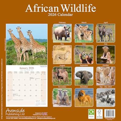African Wildlife Kalender 2026