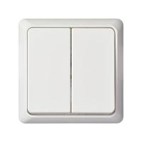 ELSO UP-serieschakelaar 251504 10A RENOVATIE compleet rw 1 stuk(s) - thumbnail