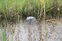 Pontec 43326 PondoSolar 1600 Pompset op zonne-energie - thumbnail